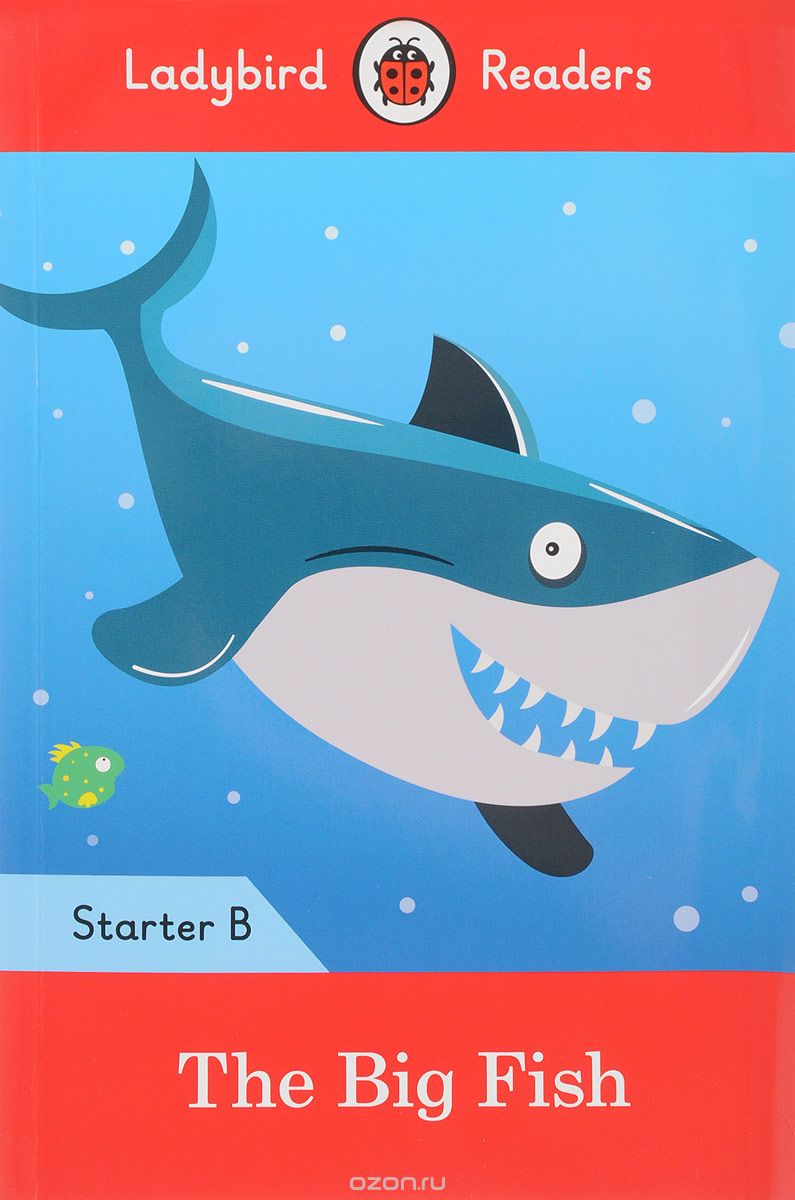 The Big Fish: Starter B