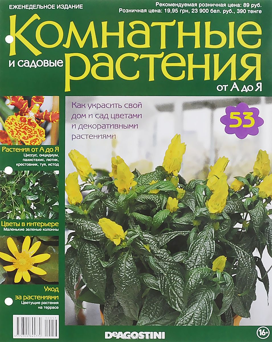 Журнал "Комнатные и садовые растения. От А до Я" №53