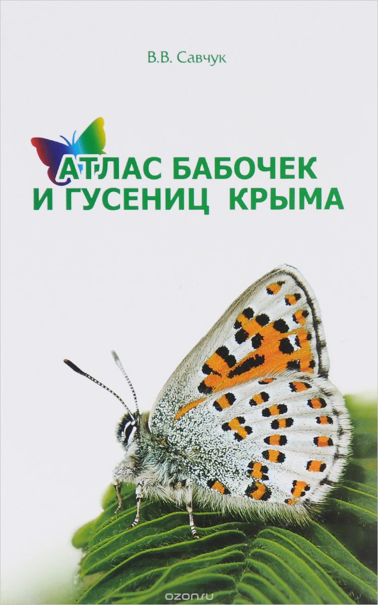 Атлас бабочек и гусениц Крыма, В. В. Савчук