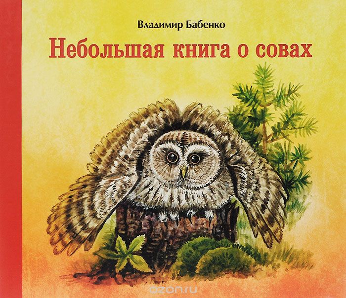 Скачать книгу "Небольшая книга о совах, Владимир Бабенко"