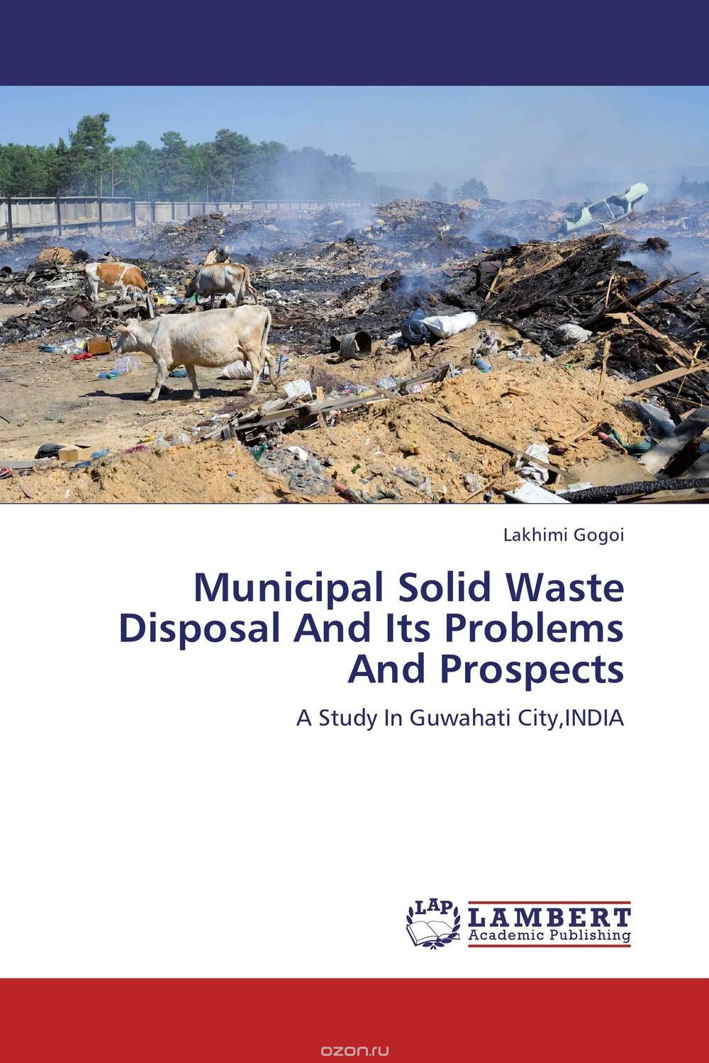 Municipal Solid Waste Disposal And Its Problems And Prospects
