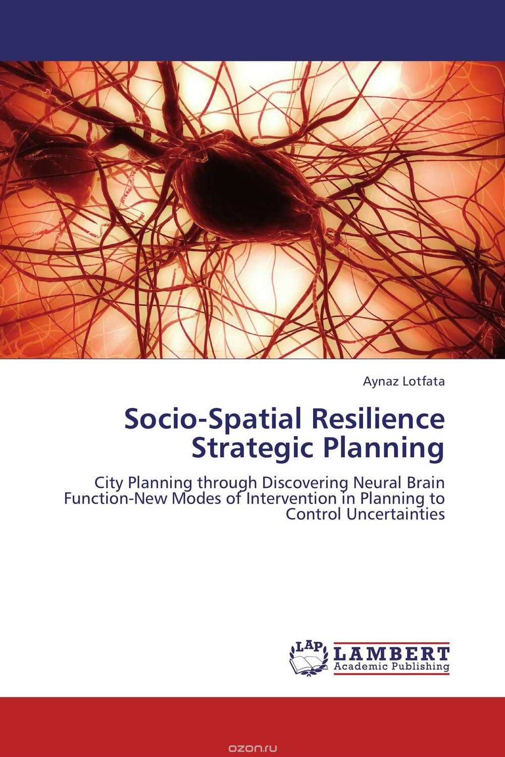 Socio-Spatial Resilience  Strategic Planning