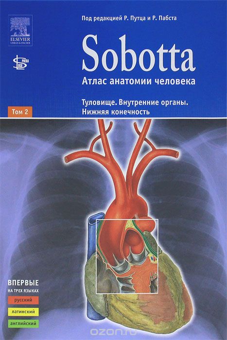 Sobotta. Атлас анатомии человека. В 2 томах. Том 2. Туловище. Внутренние органы. Нижняя конечность