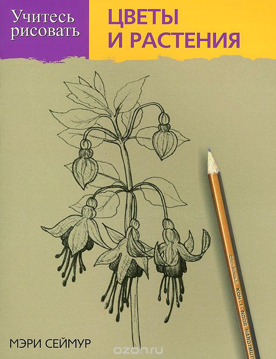 Учитесь рисовать цветы и растения, Мэри Сеймур