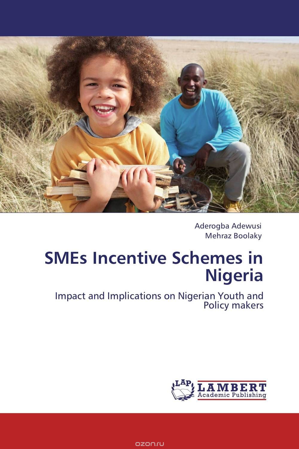 Скачать книгу "SMEs Incentive Schemes in Nigeria"
