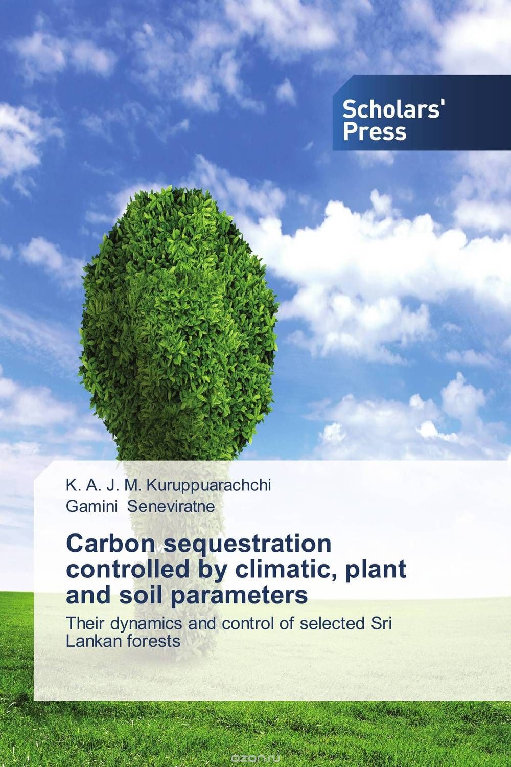 Скачать книгу "Carbon sequestration controlled by climatic, plant and soil parameters"