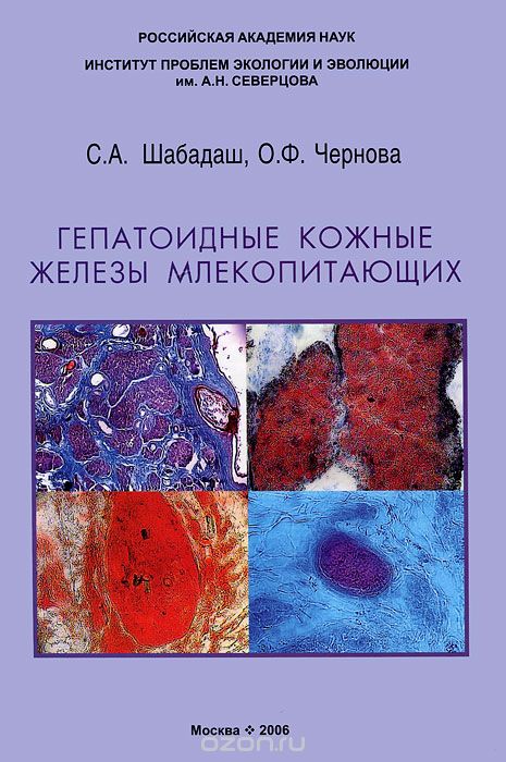 Гепатоидные кожные железы млекопитающих, С. А. Шабадаш, О. Ф. Чернова