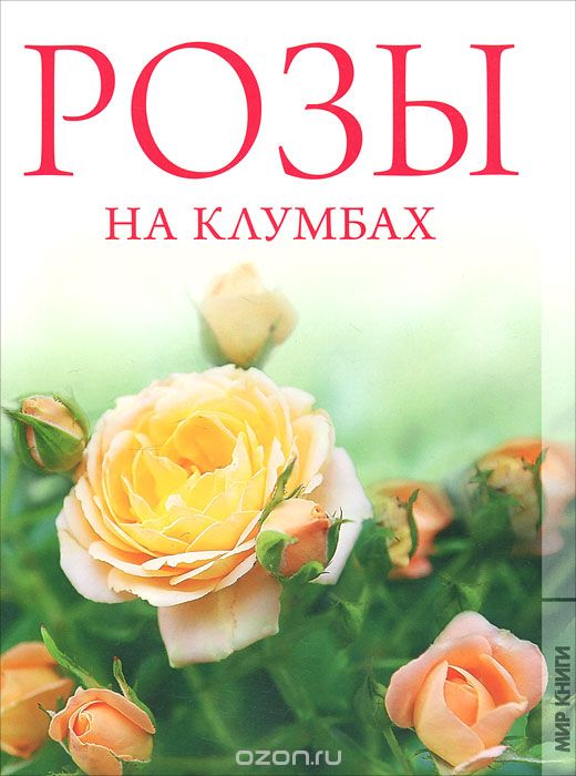 Розы на клумбах, Ольга Яковлева
