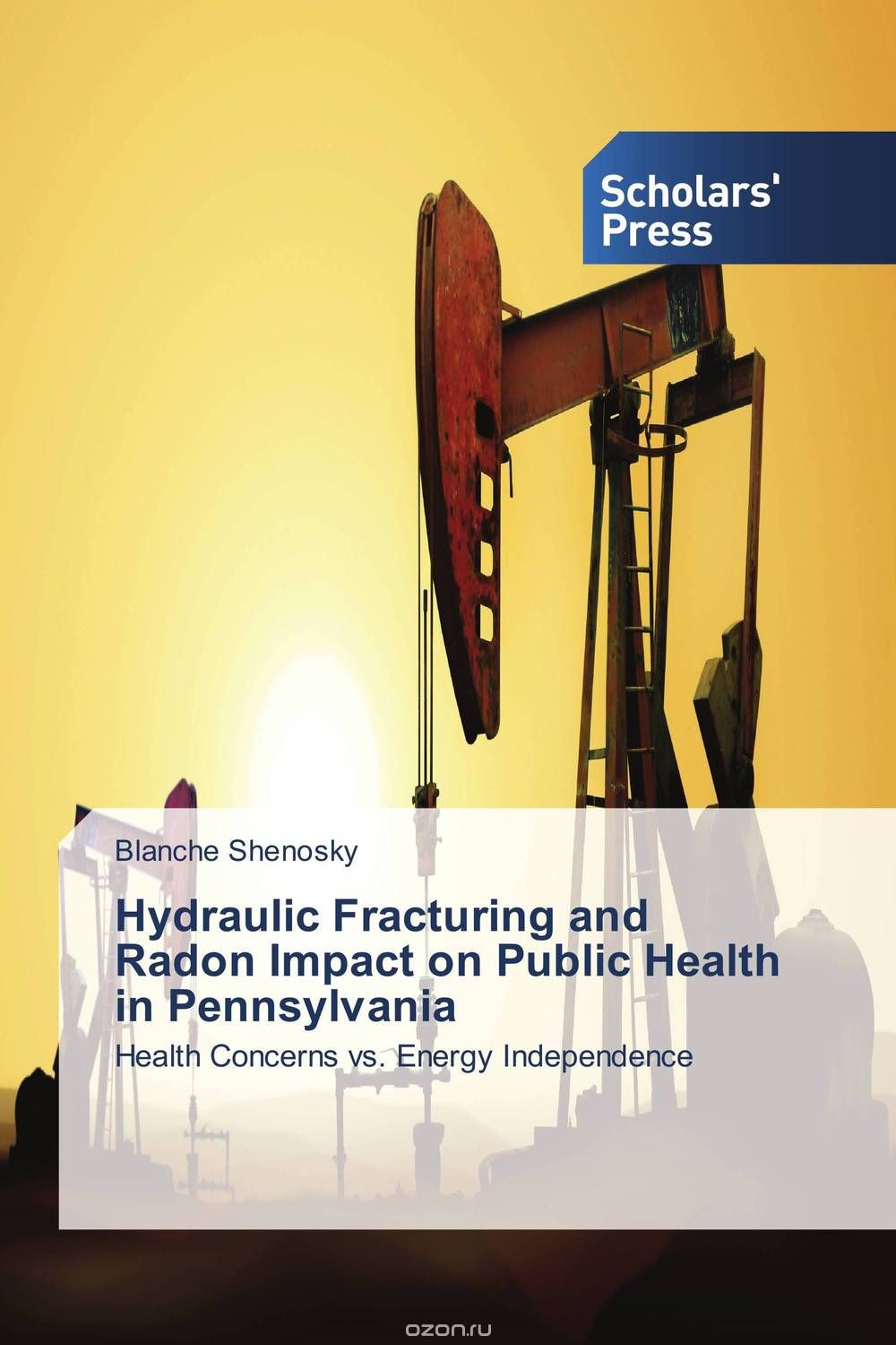 Скачать книгу "Hydraulic Fracturing and Radon Impact on Public Health in Pennsylvania"