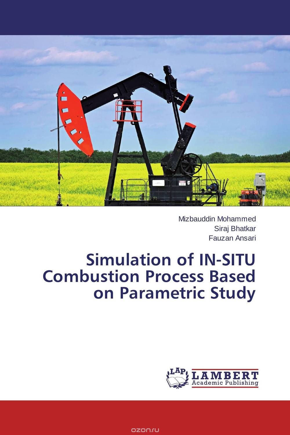 Скачать книгу "Simulation of IN-SITU Combustion Process Based on Parametric Study"