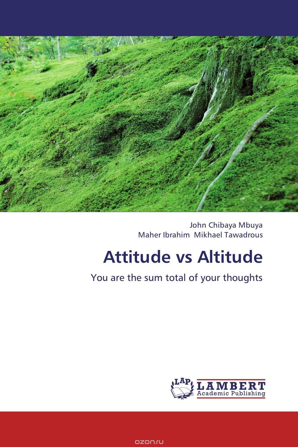 Скачать книгу "Attitude vs Altitude"