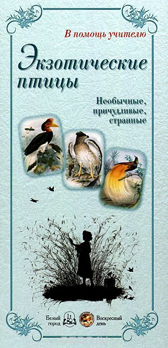 Скачать книгу "Экзотические птицы. Необычные, причудливые, странные, Л. Жукова"
