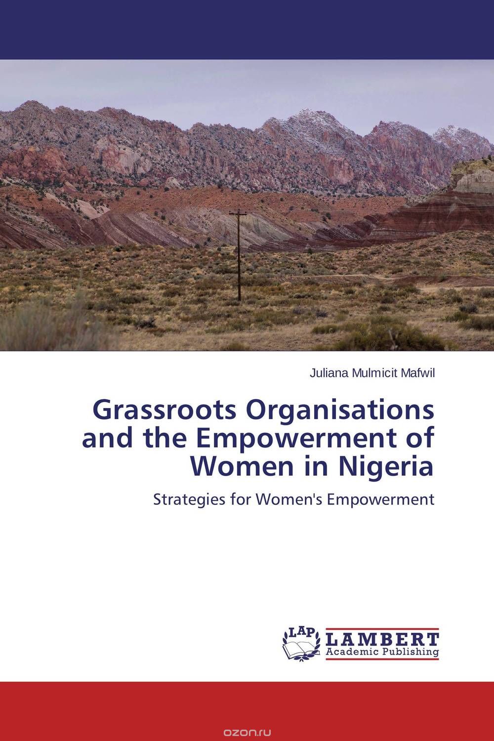 Скачать книгу "Grassroots Organisations and the Empowerment of Women in Nigeria"