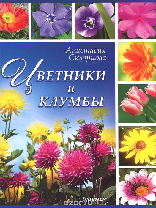 Скачать книгу "Цветники и клумбы, Анастасия Скворцова"