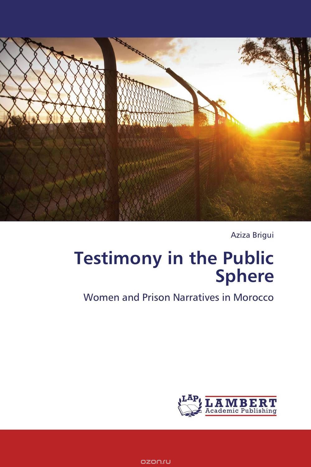 Testimony in the Public Sphere